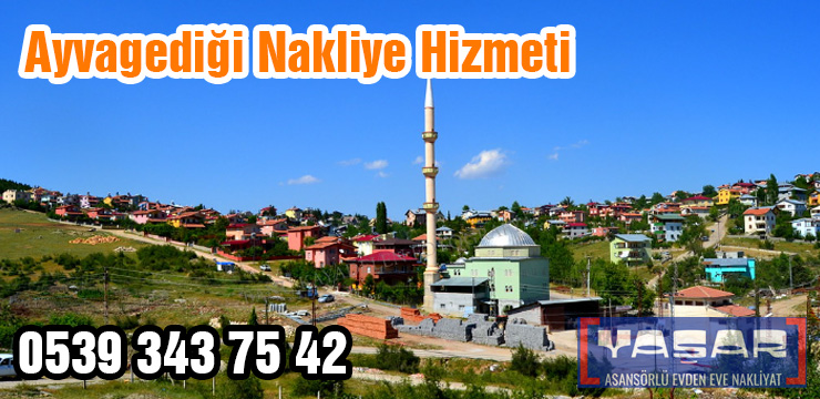 Mersin Ayvagediği Nakliye Firması