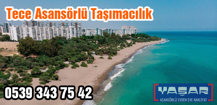 Tece Asansörlü Evden Eve Nakliye